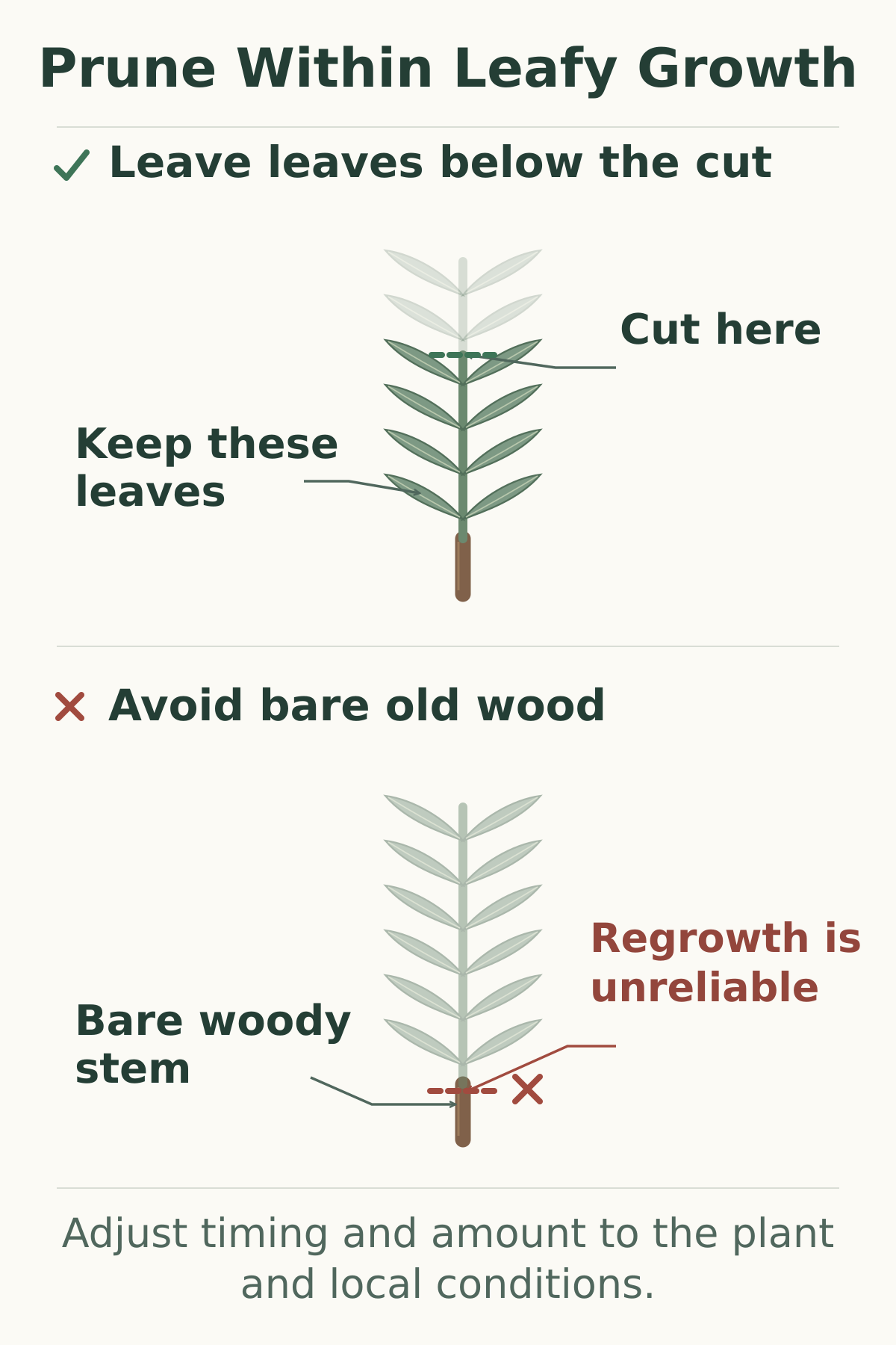 Lavender pruning diagram comparing a cut that leaves leafy growth below it with a cut into bare old wood, where regrowth is unreliable.