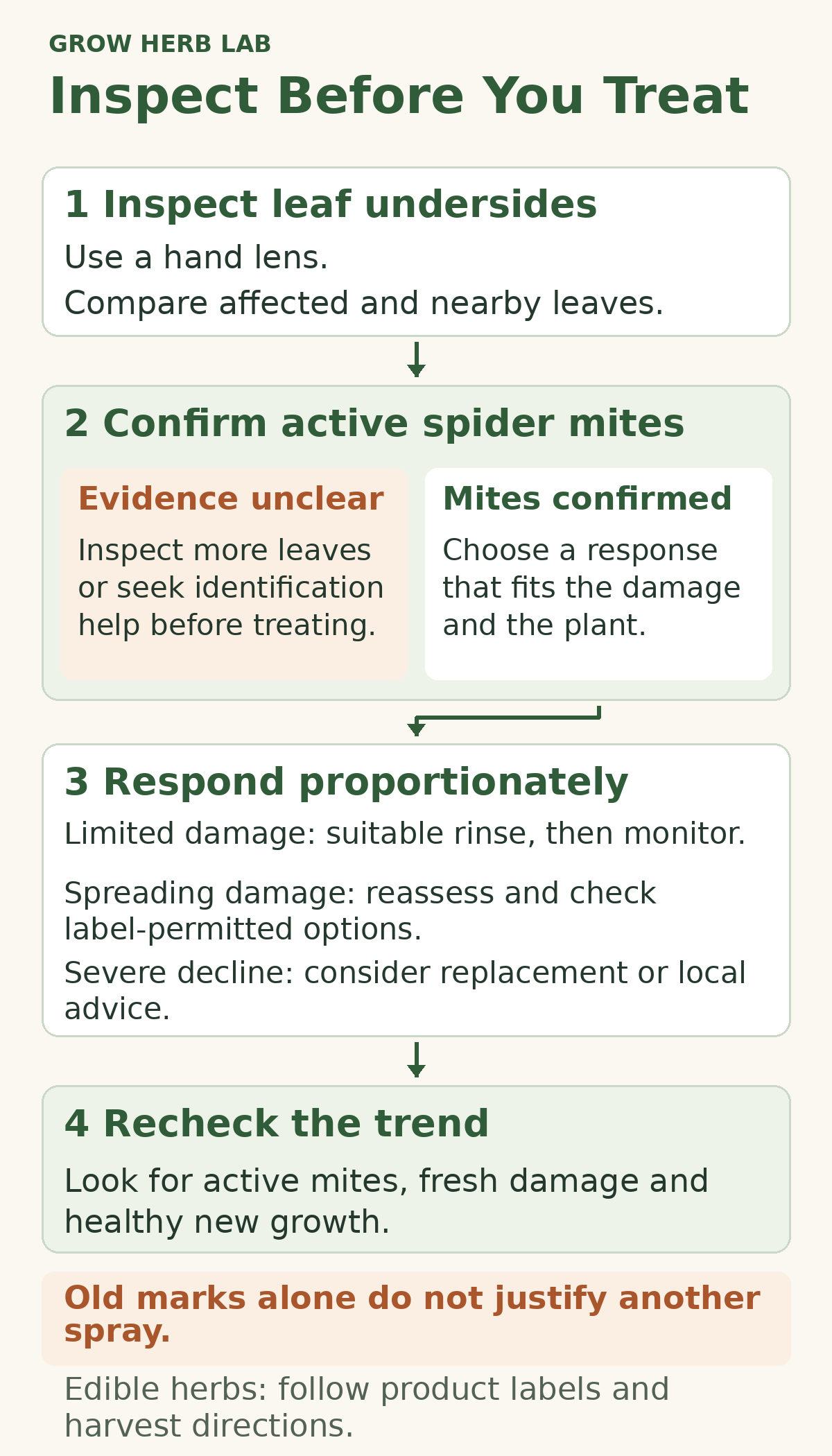 Spider-mite response diagram showing leaf inspection, an uncertain or confirmed diagnosis, proportionate treatment and repeat checks for active mites and fresh damage.